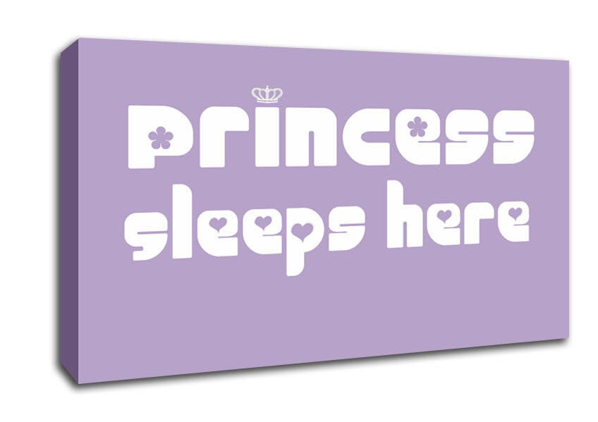 Princess sleeps 2 Lilac Canvas Wall Art