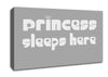 Princess sleeps 2 Grey White Canvas Wall Art
