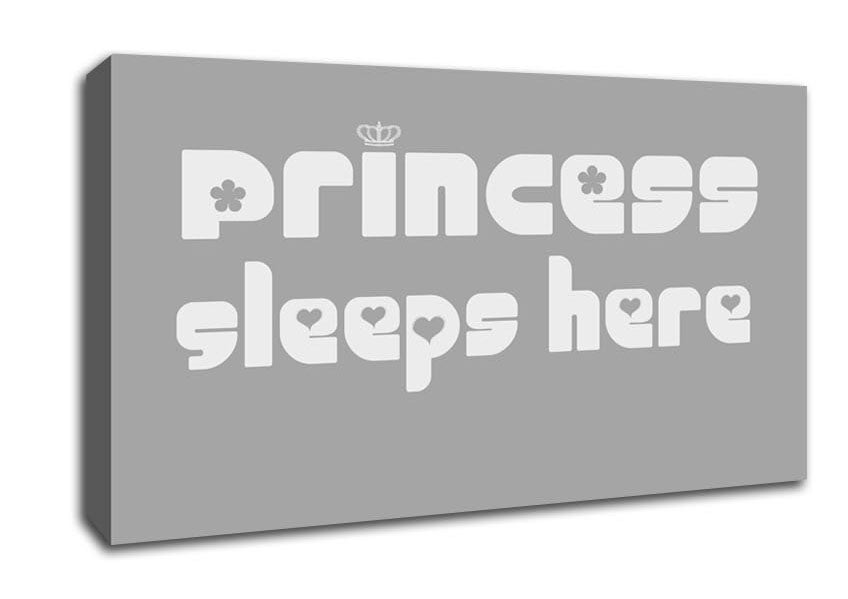 Princess sleeps 2 Grey White Canvas Wall Art