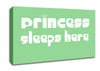 Nursery Quote Princess sleeps 2 Green Canvas Wall Art