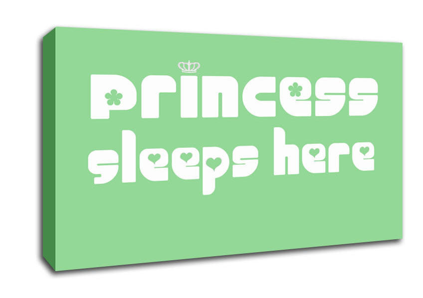 Nursery Quote Princess sleeps 2 Green Canvas Wall Art