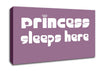 Princess sleeps 2 Dusty Pink Canvas Wall Art