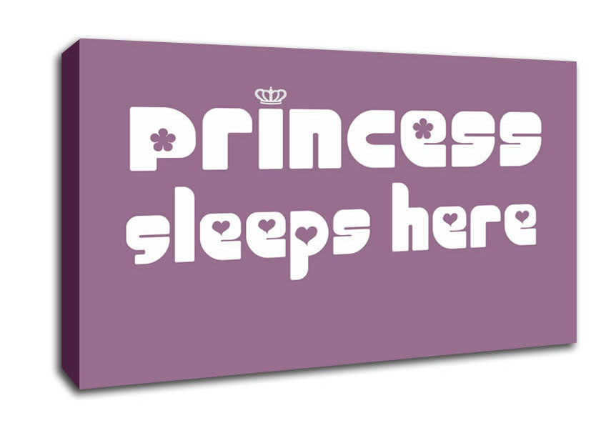 Princess sleeps 2 Dusty Pink Canvas Wall Art