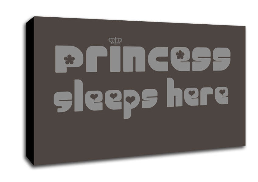Princess sleeps 2 Chocolate Canvas Wall Art