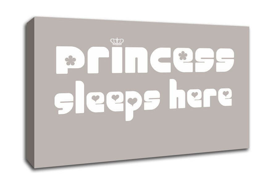 Princess sleeps 2 Beige Canvas Wall Art