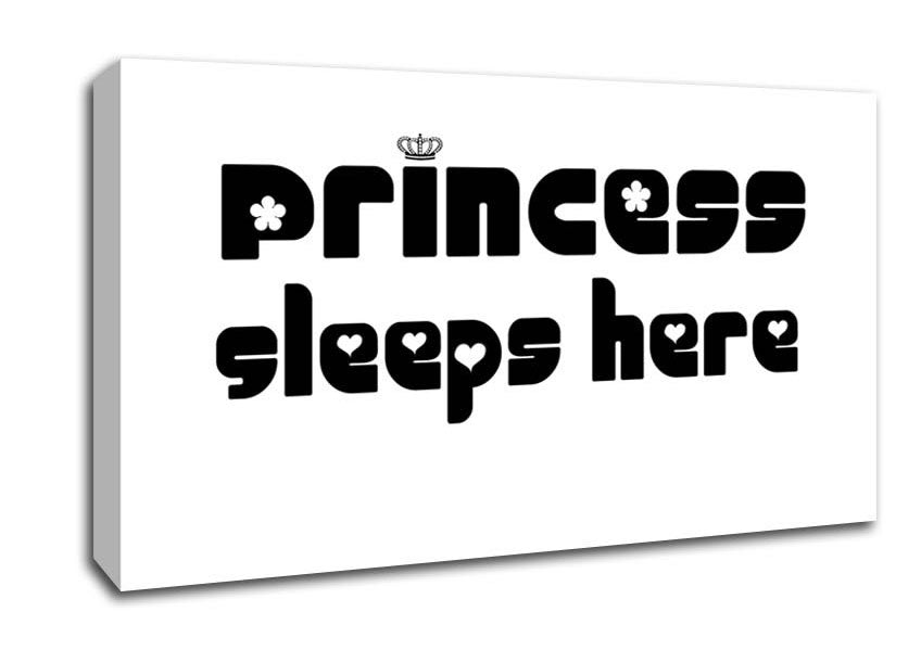 Princesss Sleeps Here 2 White Canvas Wall Art