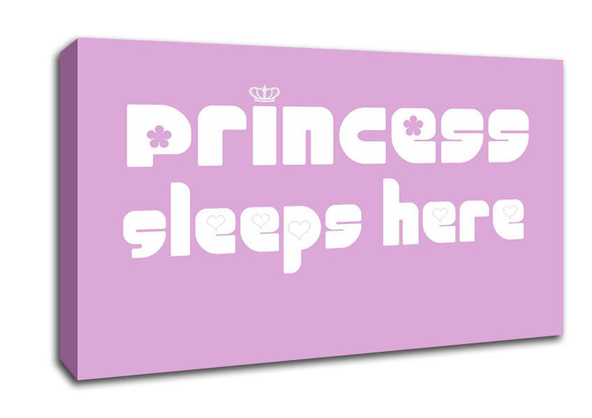 Princesss Sleeps Here 2 Pink Canvas Wall Art