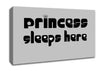 Princesss Sleeps Here 2 Grey Canvas Wall Art