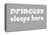 Princesss Sleeps Here 2 Grey White Canvas Wall Art