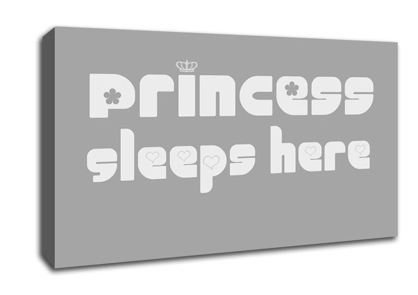 Princesss Sleeps Here 2 Grey White Canvas Wall Art
