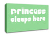 Princesss Sleeps Here 2 Green Canvas Wall Art