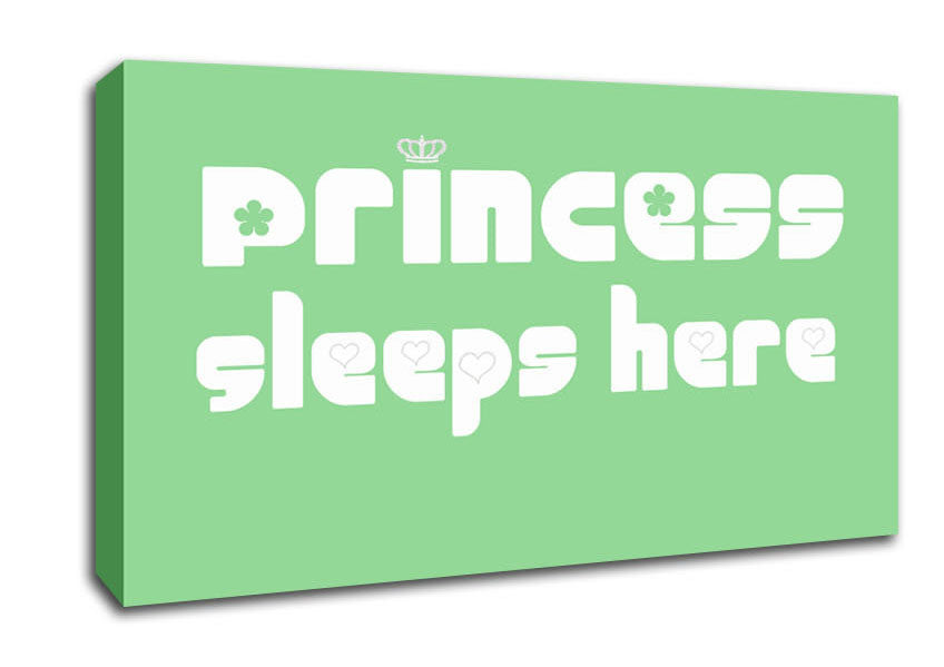 Princesss Sleeps Here 2 Green Canvas Wall Art