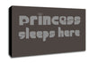 Princesss Sleeps Here 2 Chocolate Canvas Wall Art