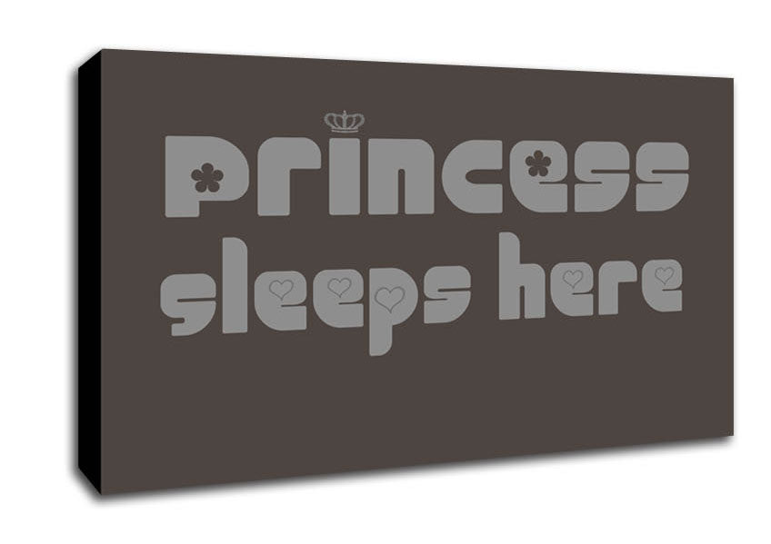 Princesss Sleeps Here 2 Chocolate Canvas Wall Art