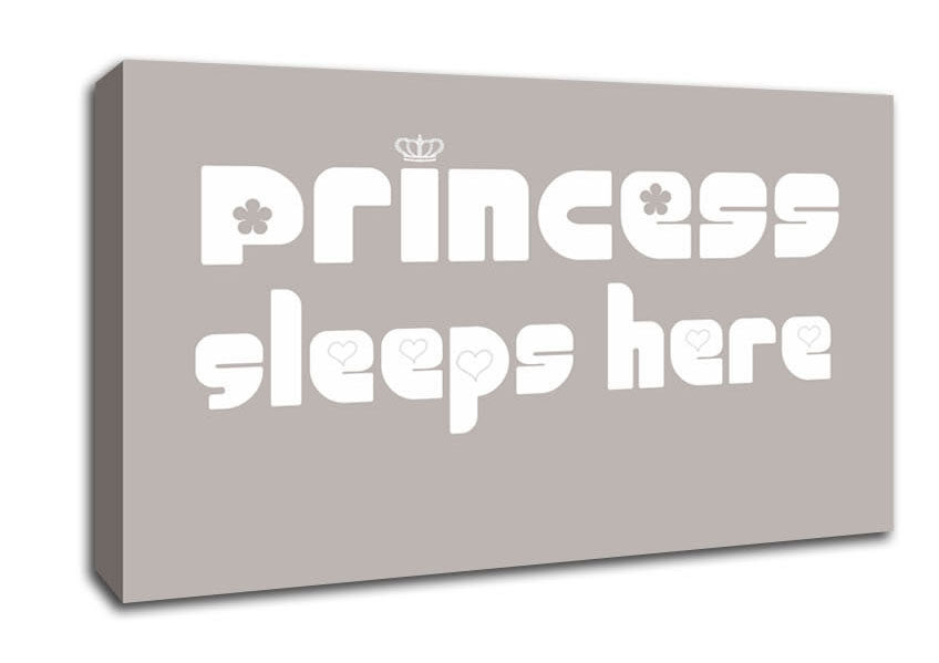 Princesss Sleeps Here 2 Beige Canvas Wall Art