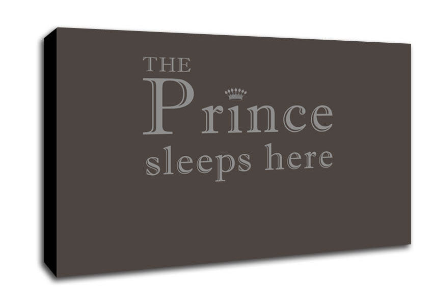 Boys room Quote The Prince Sleeps Here Chocolate Canvas Wall Art