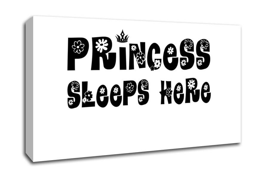 Princesss Sleeps Here White Canvas Wall Art