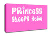 Nursery Quote Princesss Sleeps Here Vivid Pink Canvas Wall Art