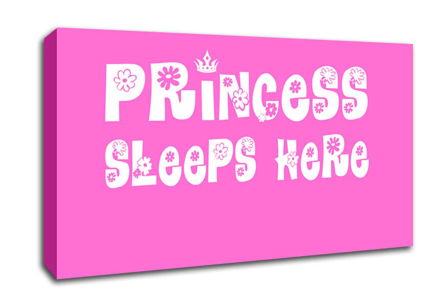 Nursery Quote Princesss Sleeps Here Vivid Pink Canvas Wall Art