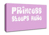 Princesss Sleeps Here Pink Canvas Wall Art