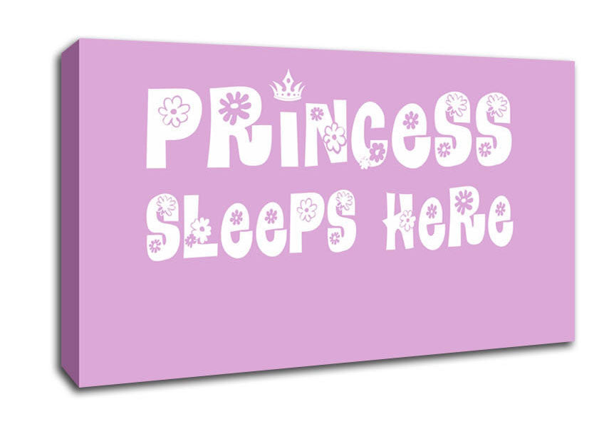 Princesss Sleeps Here Pink Canvas Wall Art