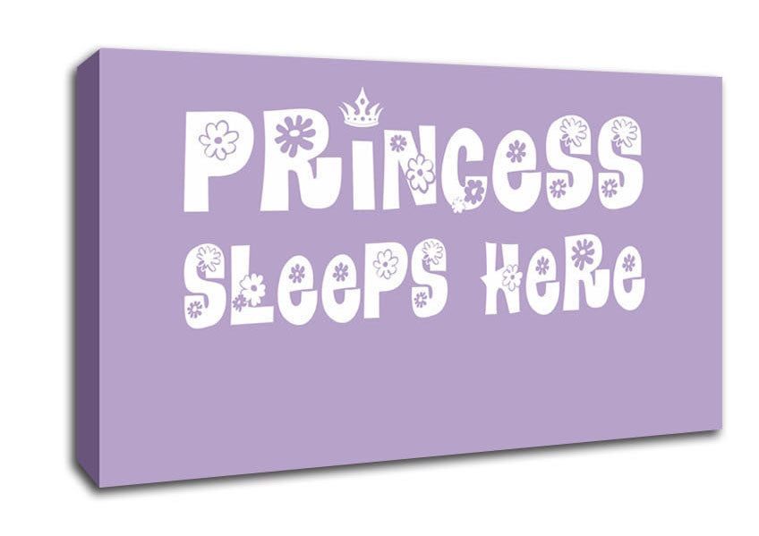 Nursery Quote Princesss Sleeps Here Lilac Canvas Wall Art