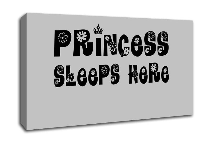 Princesss Sleeps Here Grey Canvas Wall Art