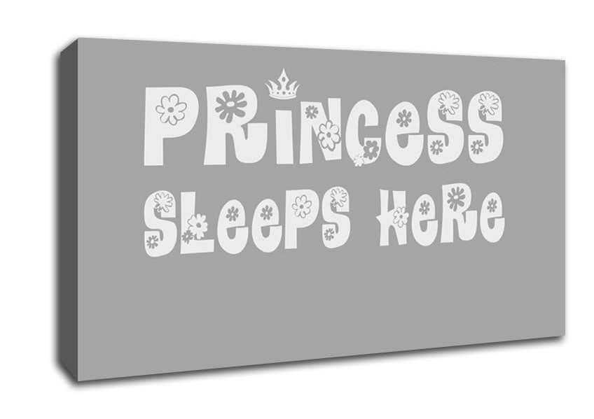 Princesss Sleeps Here Grey White Canvas Wall Art