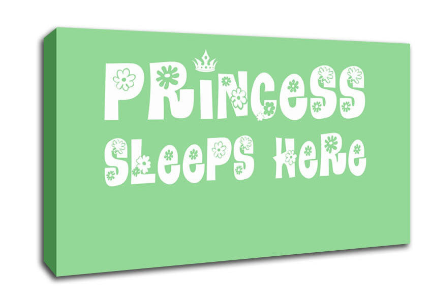 Princesss Sleeps Here Green Canvas Wall Art