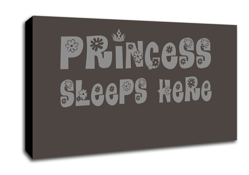 Princesss Sleeps Here Chocolate Canvas Wall Art
