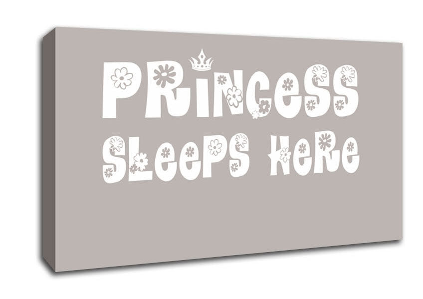 Princesss Sleeps Here Beige Canvas Wall Art
