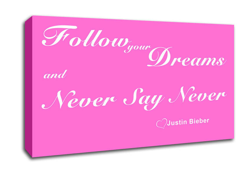 Music Quote Follow Your Dreams Justin Bieber Vivid Pink Canvas Wall Art