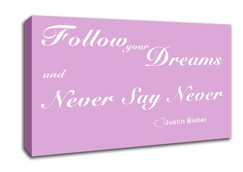 Music Quote Follow Your Dreams Justin Bieber Pink Canvas Wall Art