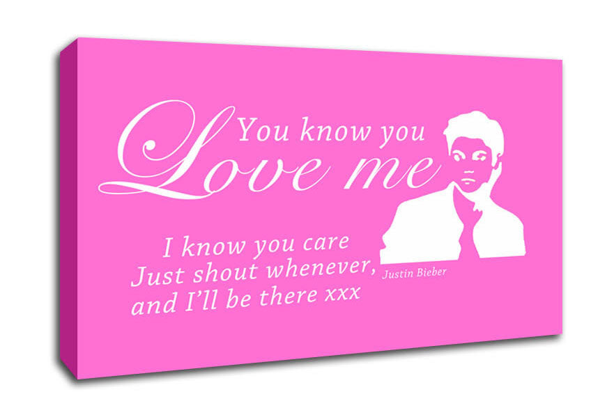 Music Quote You Know You Love Me Justin Bieber Vivid Pink Canvas Wall Art