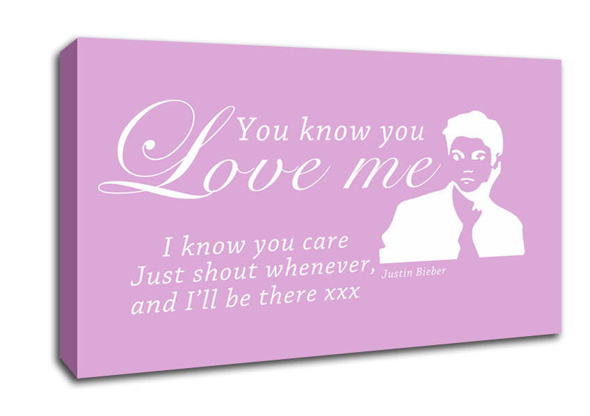 Music Quote You Know You Love Me Justin Bieber Pink Canvas Wall Art