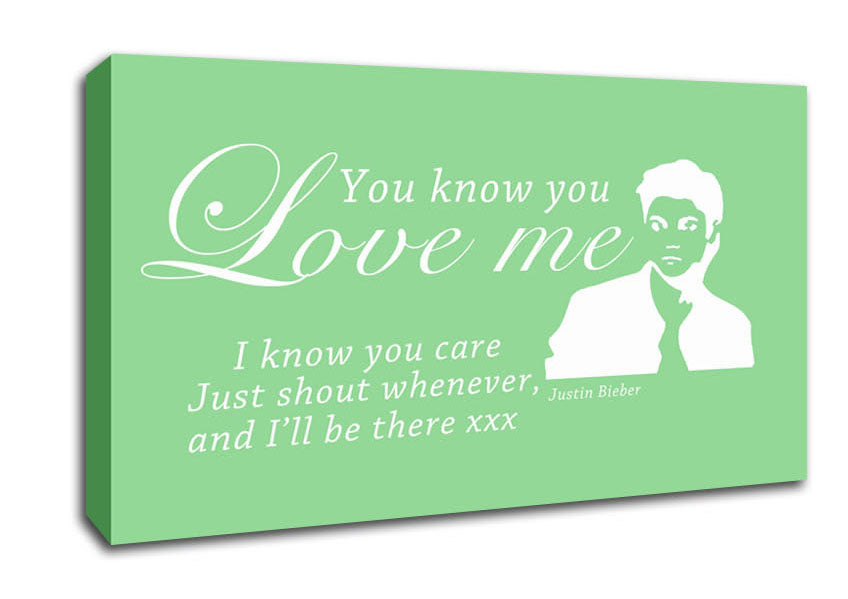 Music Quote You Know You Love Me Justin Bieber Green Canvas Wall Art