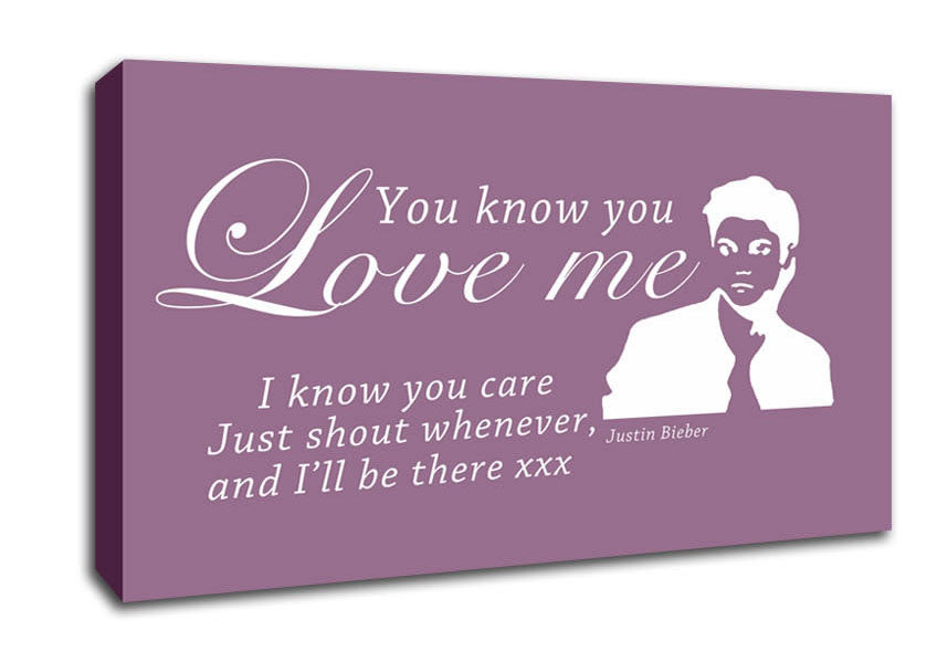 Music Quote You Know You Love Me Justin Bieber Dusty Pink Canvas Wall Art
