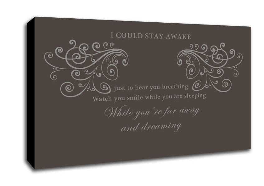 Music Quote I Could Stay Awake Aerosmith Chocolate Canvas Wall Art