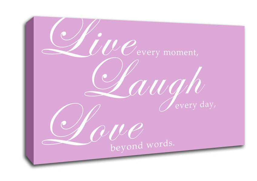 Love Quote Live Laugh Love 2 Pink Canvas Wall Art