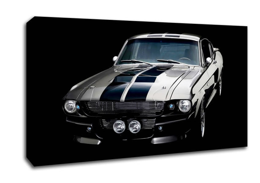 Mustang Stripes Canvas Wall Art