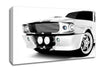 Mustang Grill Canvas Wall Art
