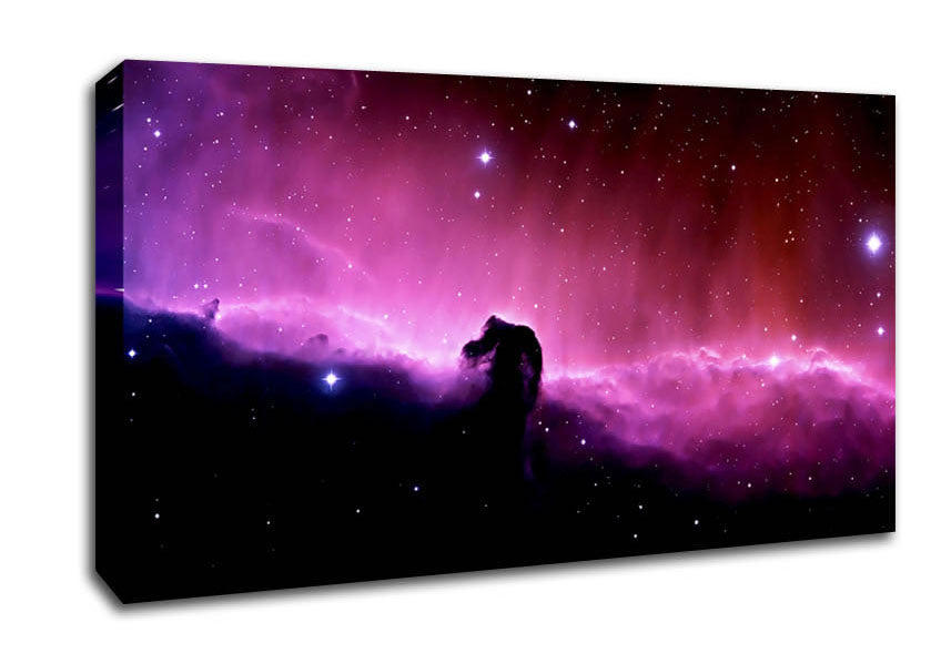 Pink Horsehead Nebula Canvas Wall Art