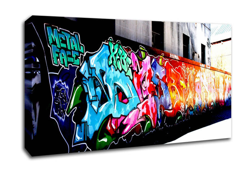 Metal Face Canvas Wall Art