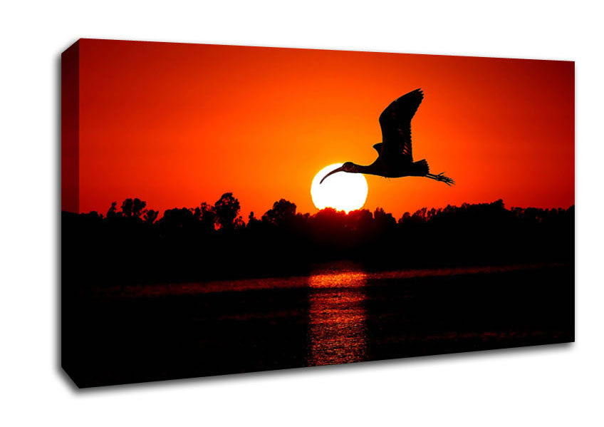 Bird Flying At Sunset Canvas Wall Art