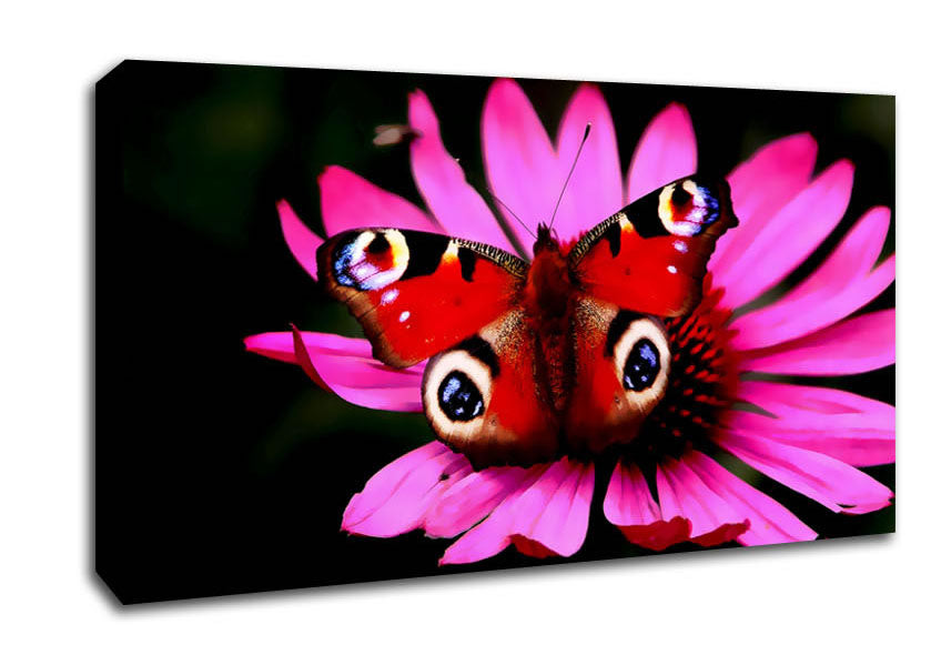Butterfly Infusion Canvas Wall Art