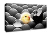 Chick Hatching Canvas Wall Art
