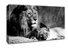 Lion Family Bond Canvas Wall Art