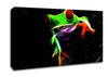 Frog Blaze Canvas Wall Art