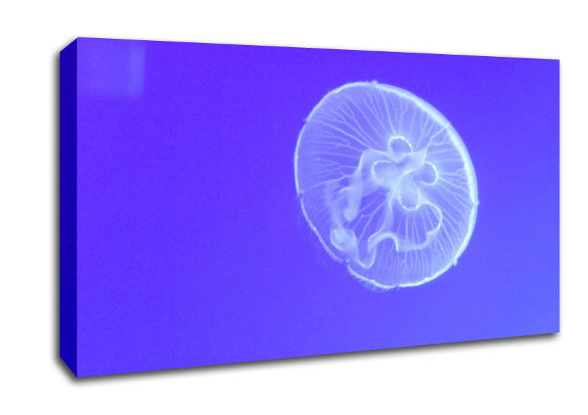 Horniman Jellyfish Canvas Wall Art