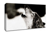 Howling Wolf Canvas Wall Art